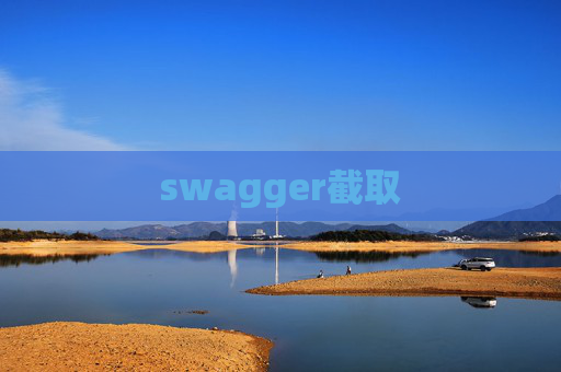 swagger截取